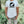 Load image into Gallery viewer, Fishsaurus rex white t-shirt
