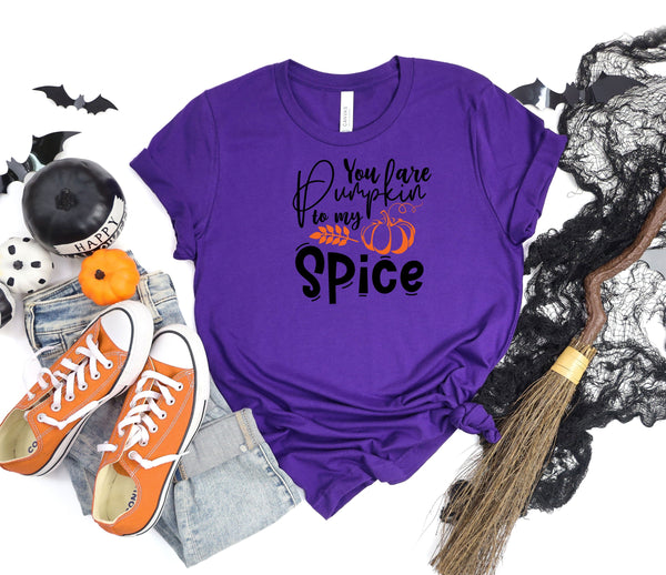 You are pumpkin to my spice purple gray t-shirt